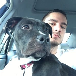 Meet your Posher, Noah